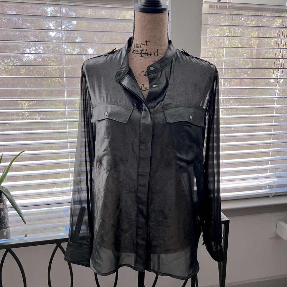 Banana Republic Sheer “metallic” Blouse